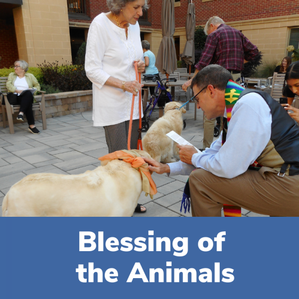 Blessing of the animals - Southminster